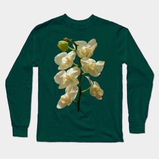 Orchids - Dainty White Orchids Long Sleeve T-Shirt